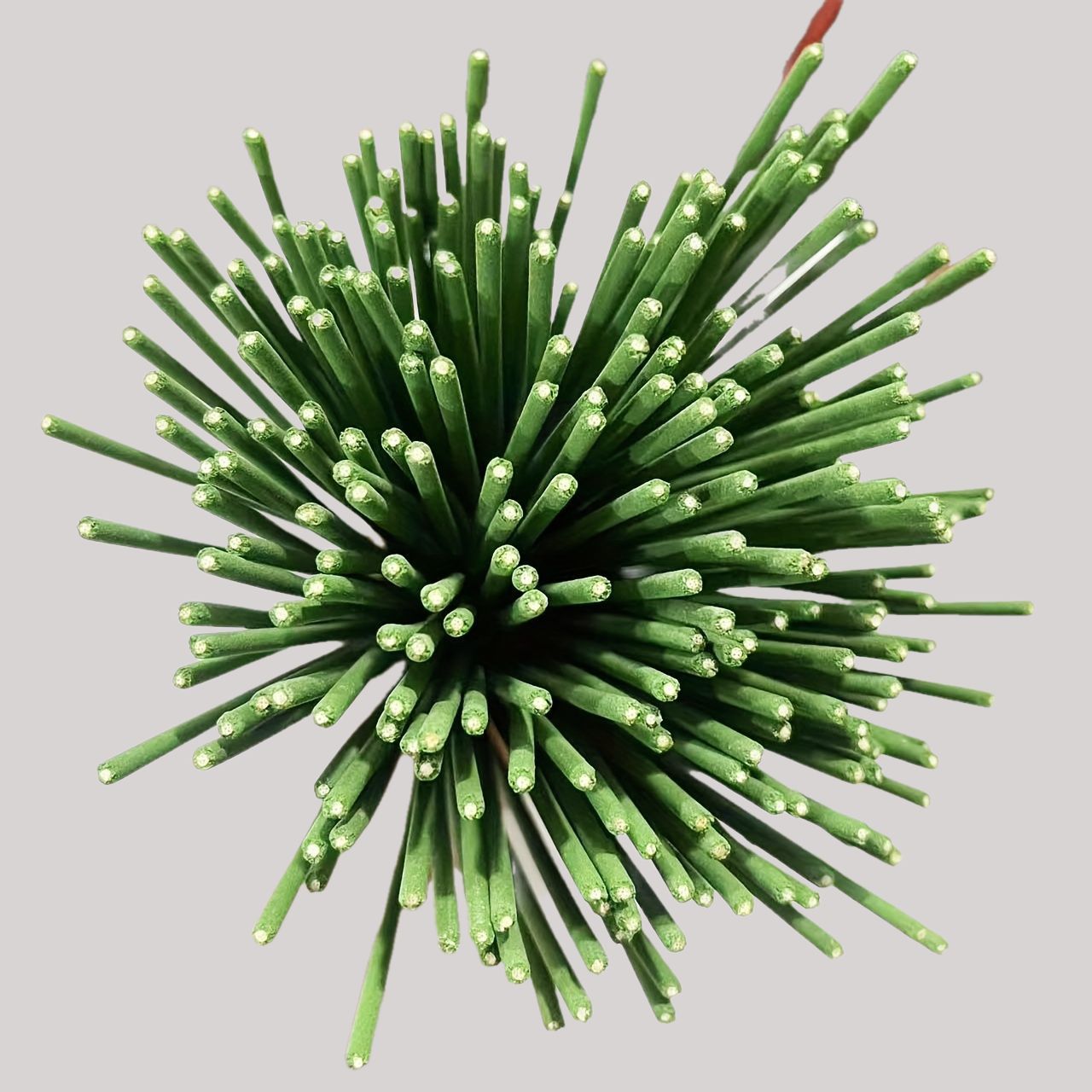 Kamış Difüzör Çubukları Limon  - Home Fragrance Lemongrass incelemesi ve fiyatı